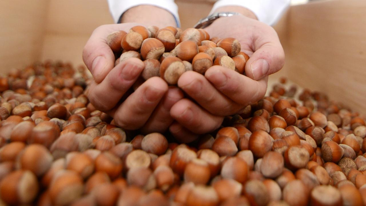 CHP'li Erhan Adem: Fındık taban fiyatı enflasyon hesabıyla 180 lira olmalı