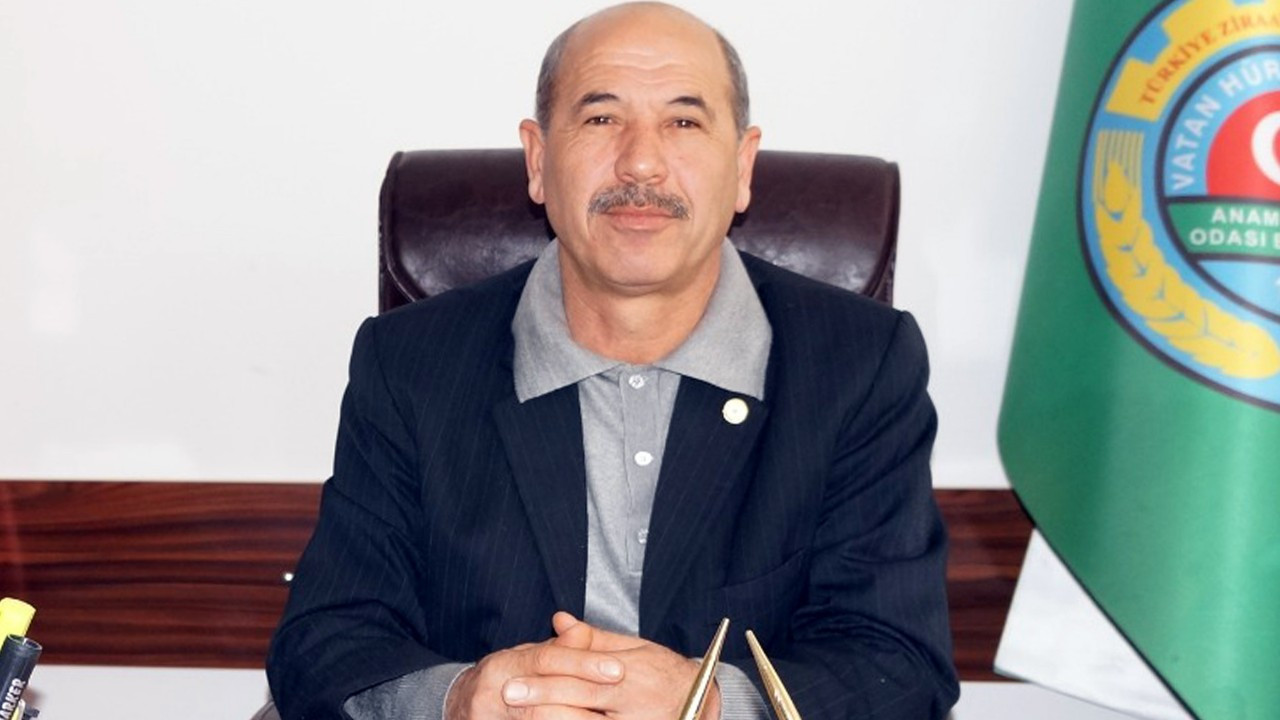 Avokadoya dönüş yapan Anamurlu üretici, ara dönemde muz ekmek istiyor