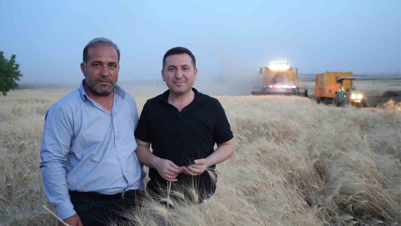 Kilis'te hububat üreticileri çifte bayram sevinci yaşıyor