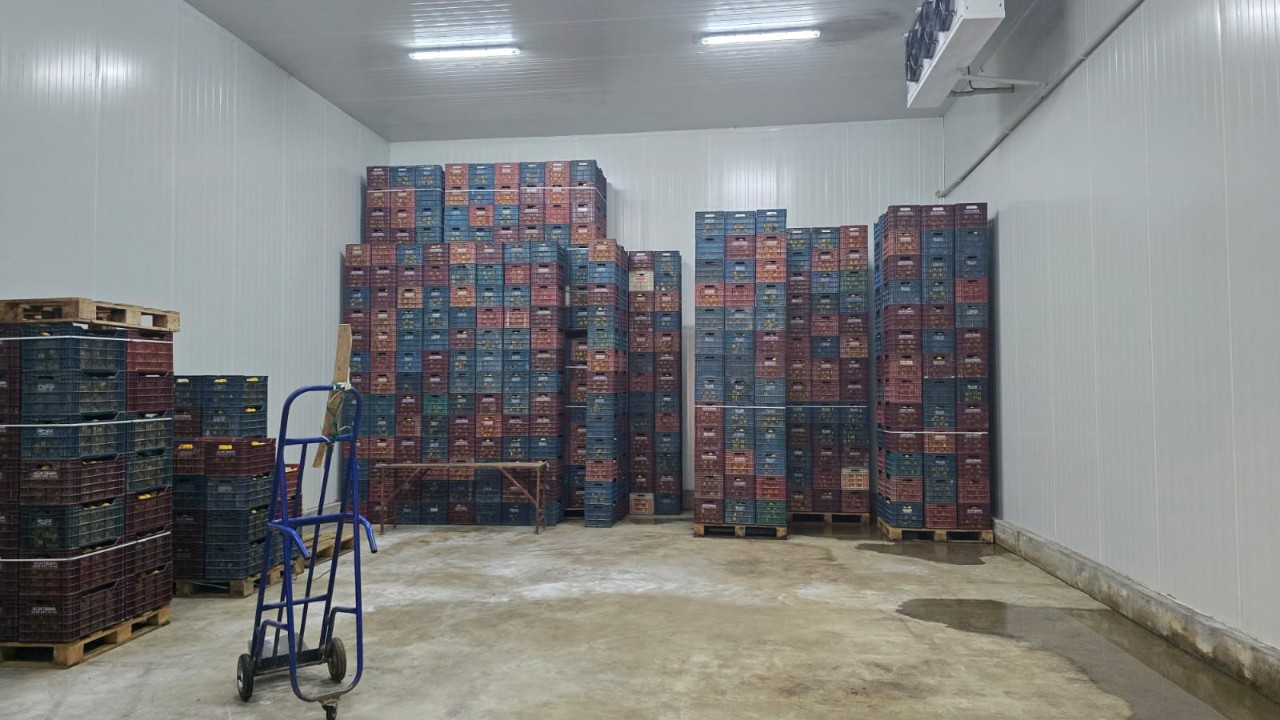 Limon cenneti Erdemli’de 380 ton kayıt dışı ürüne el konuldu
