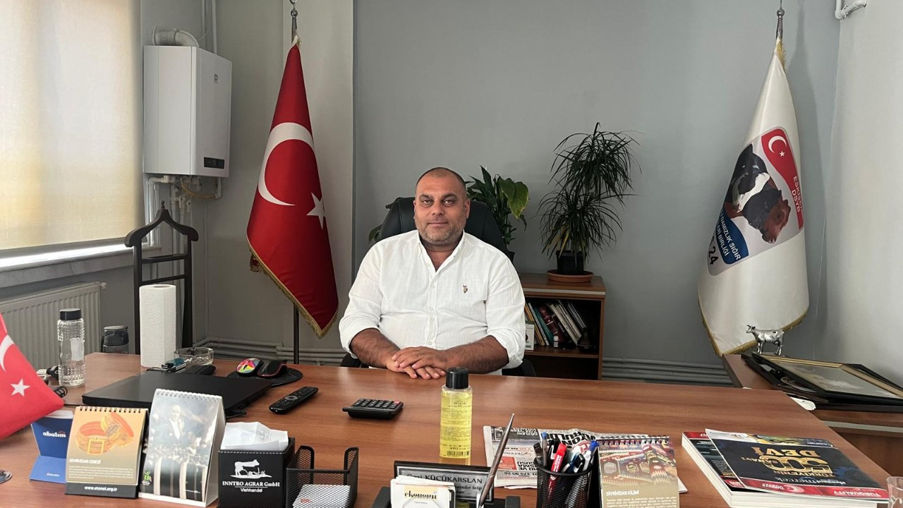 Süt hayvanlarının kesilmemesi için mandıra kuracaklar