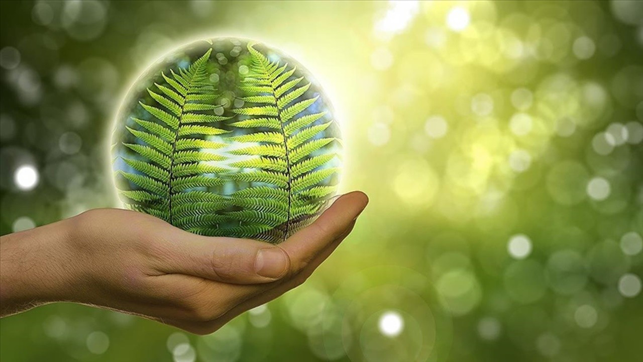 Yeşil dönüşüm desteklerinde detaylar belli oldu