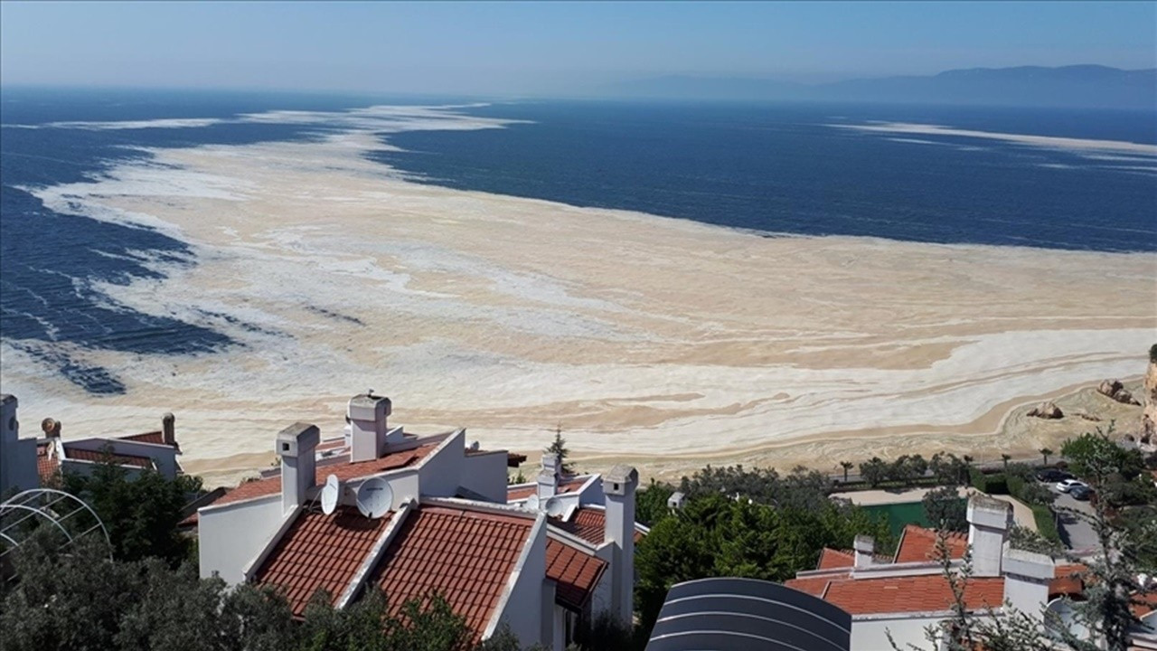 Marmara Denizi'nde müsilajı tetikleyecek gelişme!