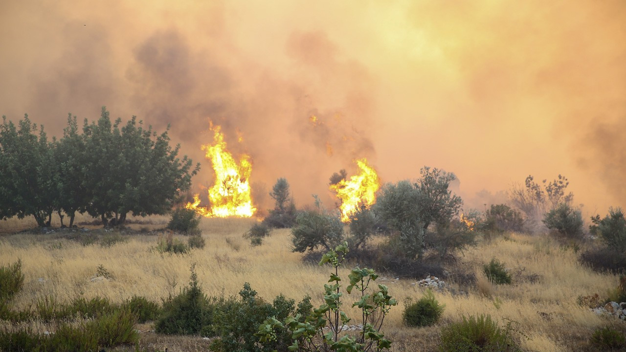 Türkiye alevlerle mücadele ediyor: 2 ilde orman yangını sürüyor...