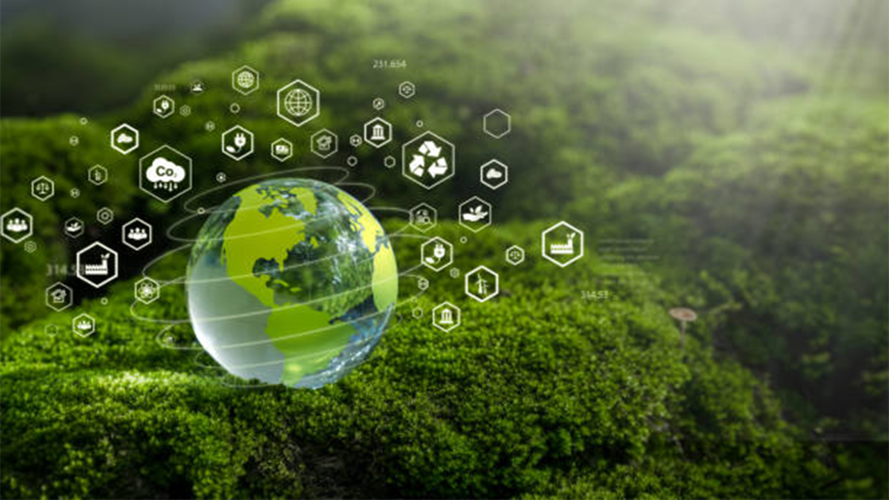 Çevreye duyarlı markalar açıklandı