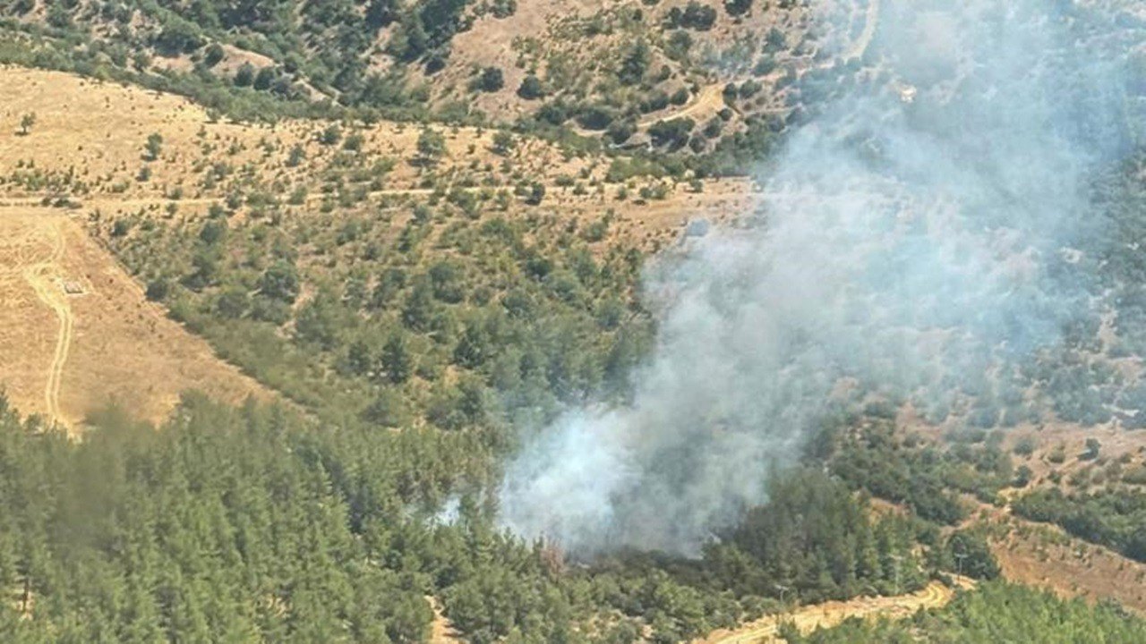 Balıkesir'in Dursunbey ilçesinde orman yangını