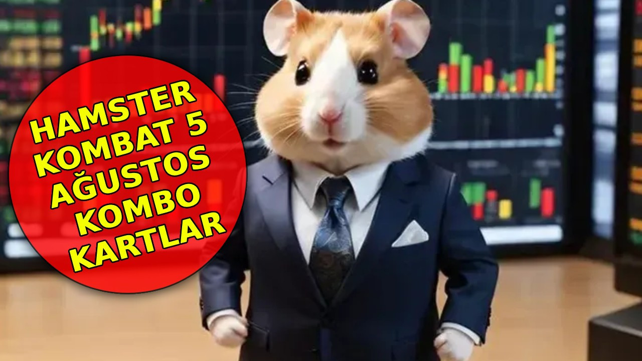 HAMSTER KOMBAT 5 AĞUSTOS KOMBO KARTLAR: Hamster Kombat bugünün kombo kartları neler?