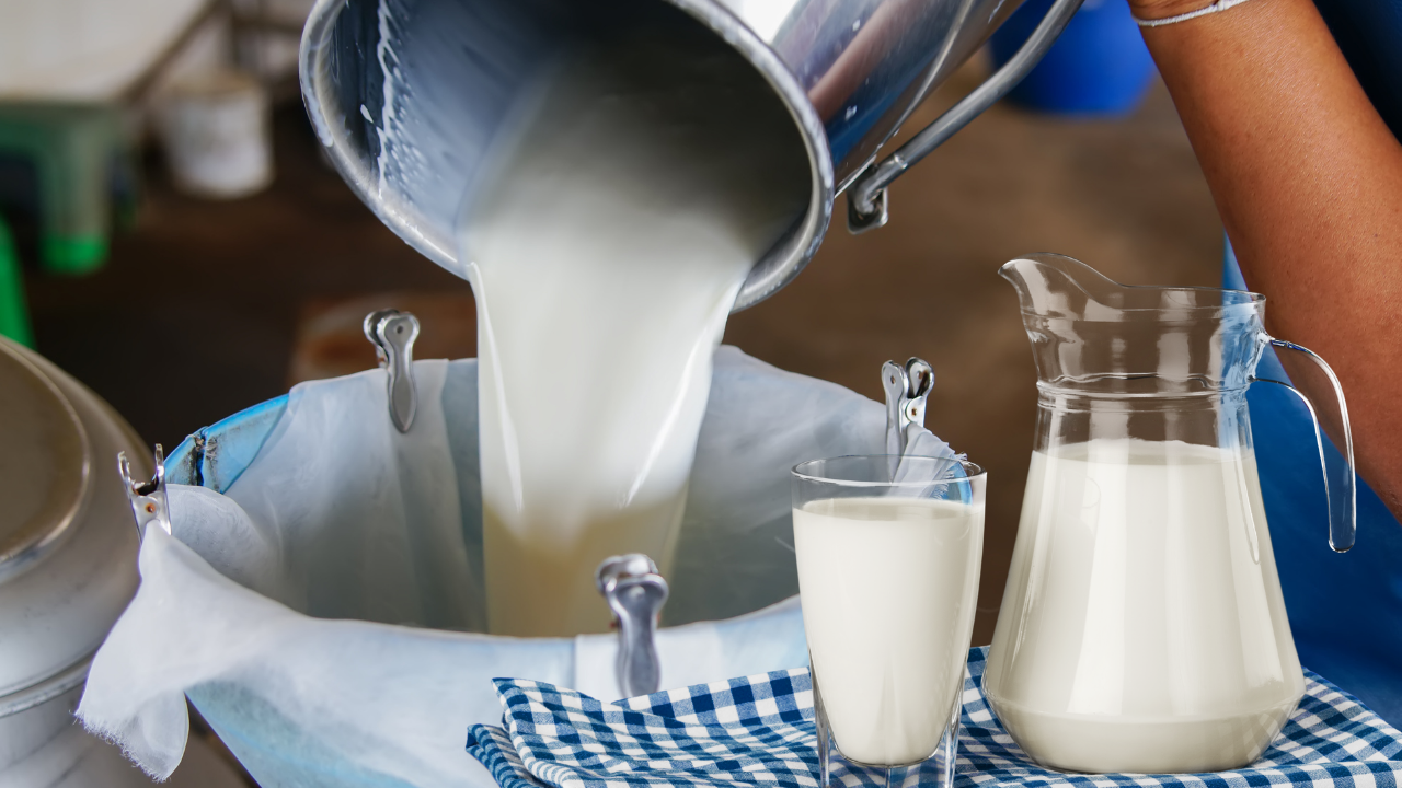 TÜSEDAD’tan süt tozu ve tereyağ ithalatına ilişkin açıklama: Süt sektörü algı ile yönetilemez