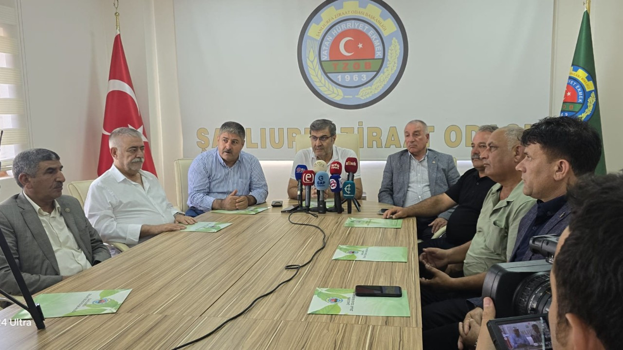 Şanlıurfa’da fıstık fiyatları Antepli tücarların müdahalesiyle düşüşe geçti