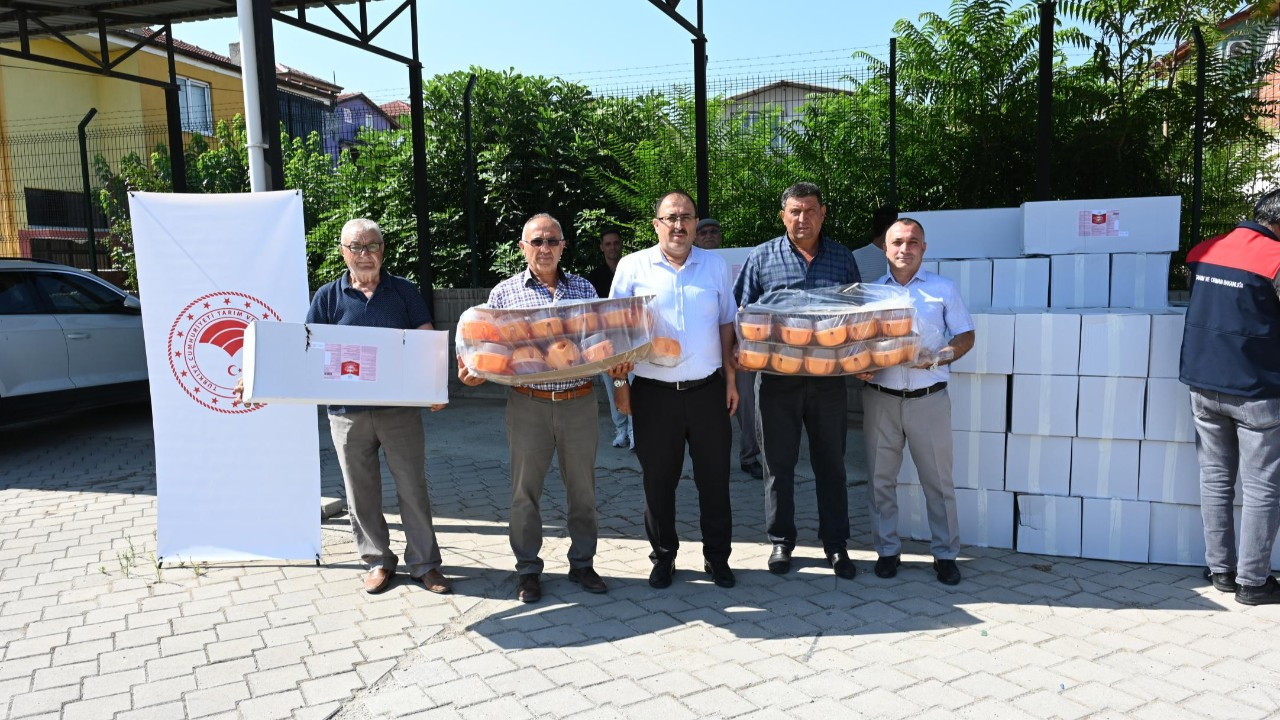Denizli'de "Ayvada Kalıntı Eylem Planı" başarıyla devam ediyor
