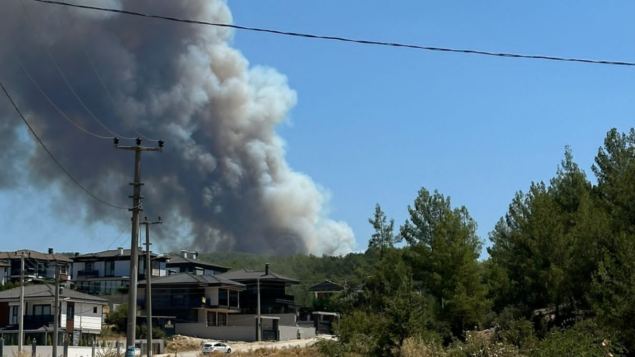 Muğla'nın 3 ilçesinde orman yangını!