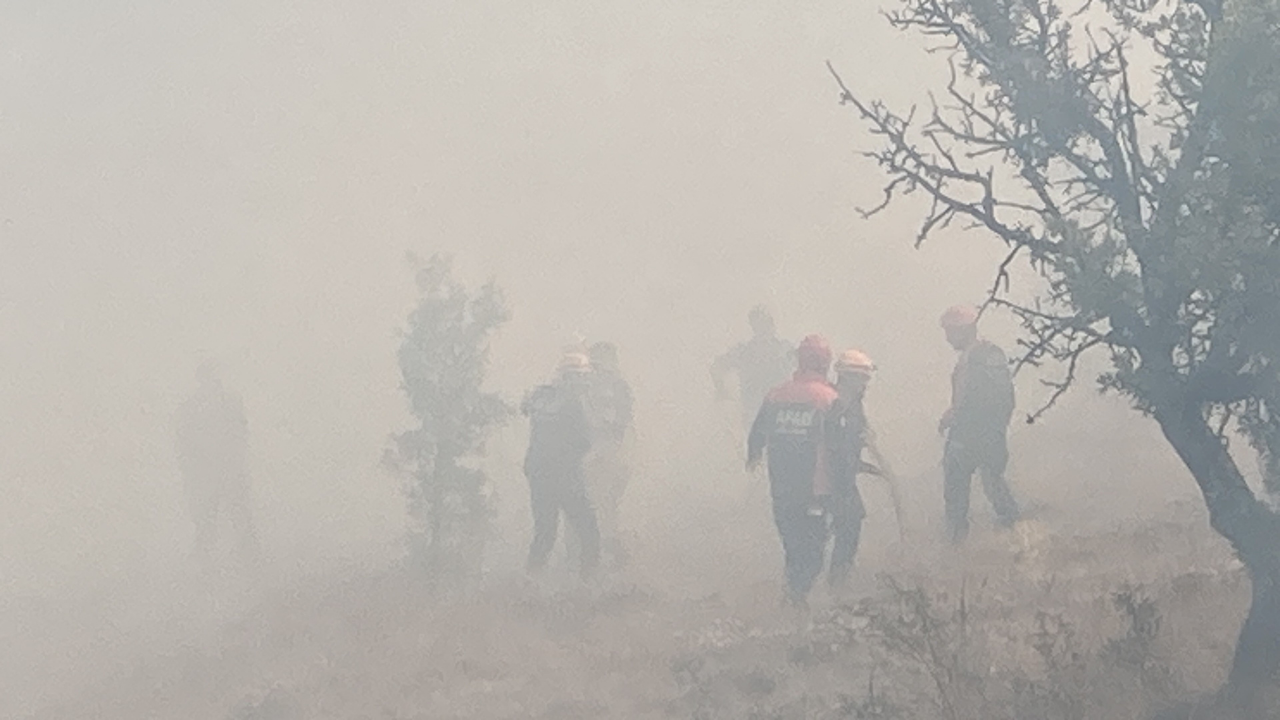 Bolu yangınla boğuşuyor! Kontrol altına alınan yangın tekrar alevlendi