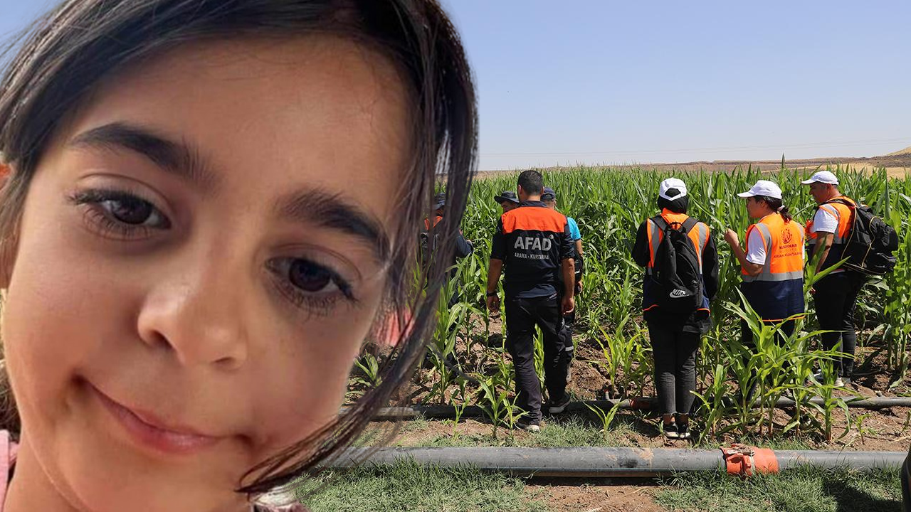 Diyarbakır'da kaybolan 8 yaşındaki Narin'i arama çalışmaları havadan ve karadan sürüyor: 'Sanki yer yarıldı içine girdi'
