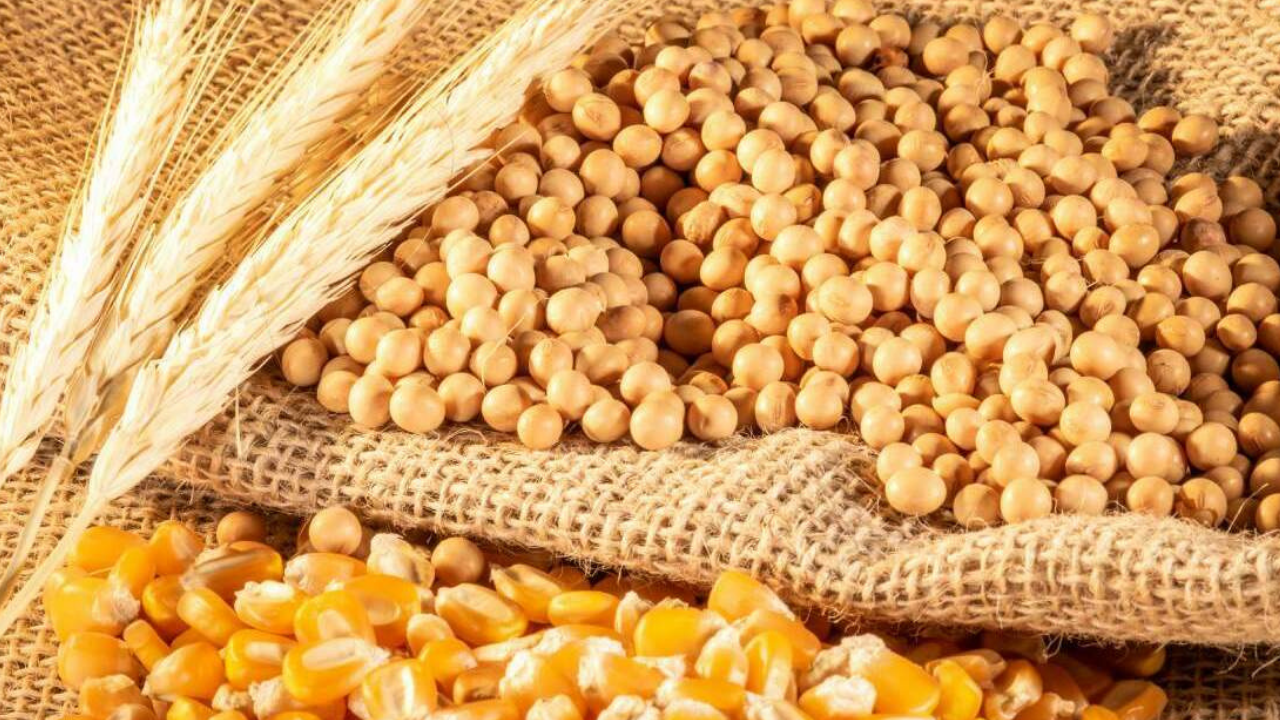 Tahıl-metal dengesi bozuluyor