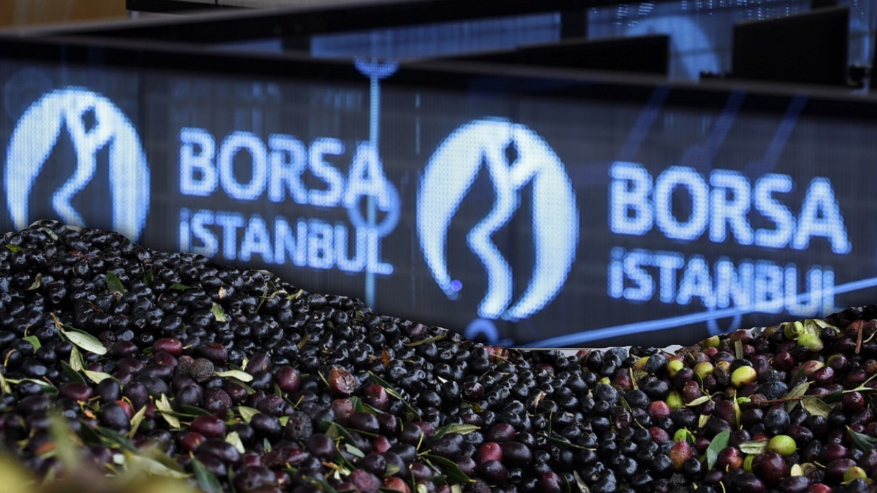 CEM ZEYTİN HANGİ BANKALARDA VAR? Gözler üzerinde! CEMZY kişi başı kaç lot düşer?