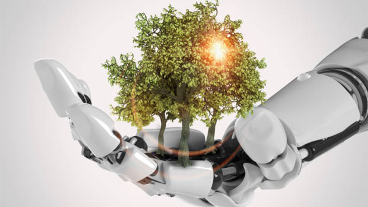 İklim krizi ve yapay zeka: Hangi risk daha büyük?