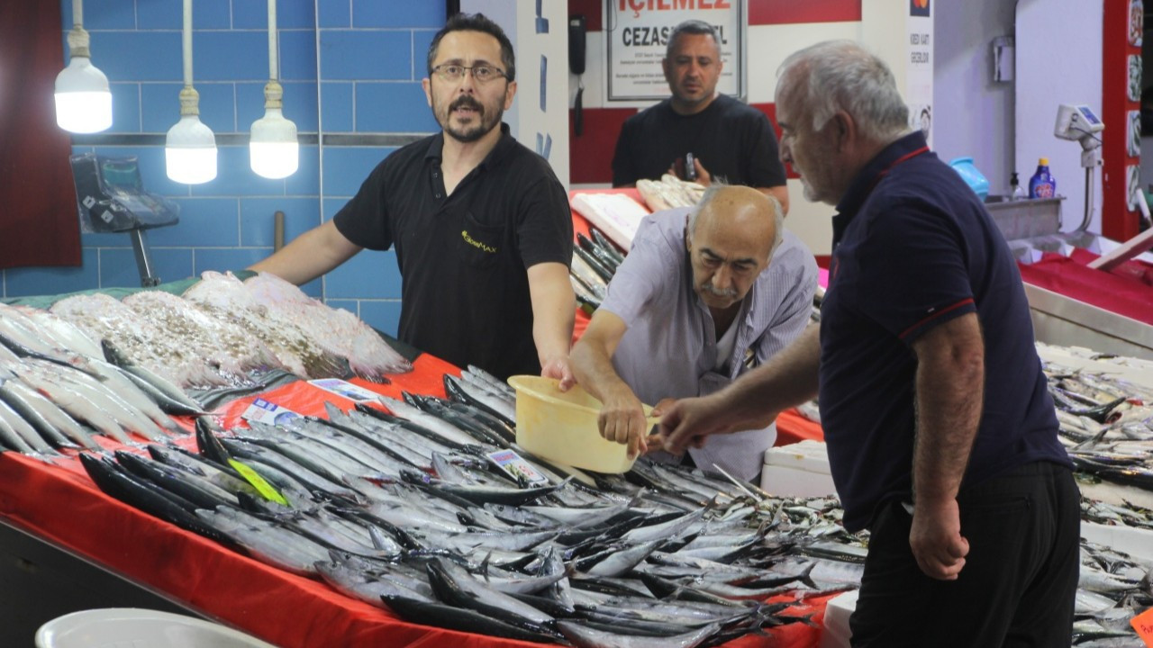 Palamutun 3 tanesi 100 liraya indi