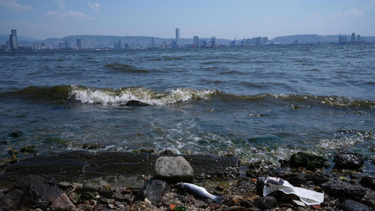 İzmir Körfezi'nde korkunç görüntü! Karşıyaka sahilinde kıyıya vurdu