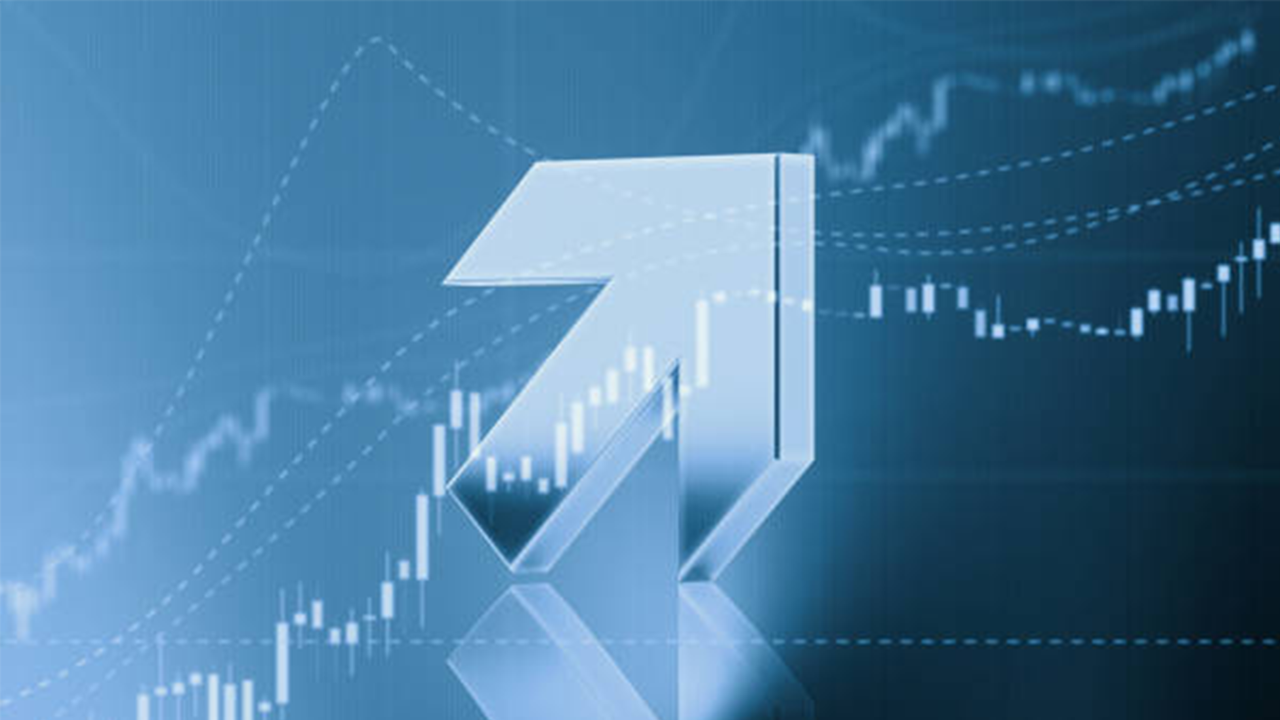 Nvidia'yı tahtından ederek S&P 500'ün en çok kazandıran hissesi oldu!