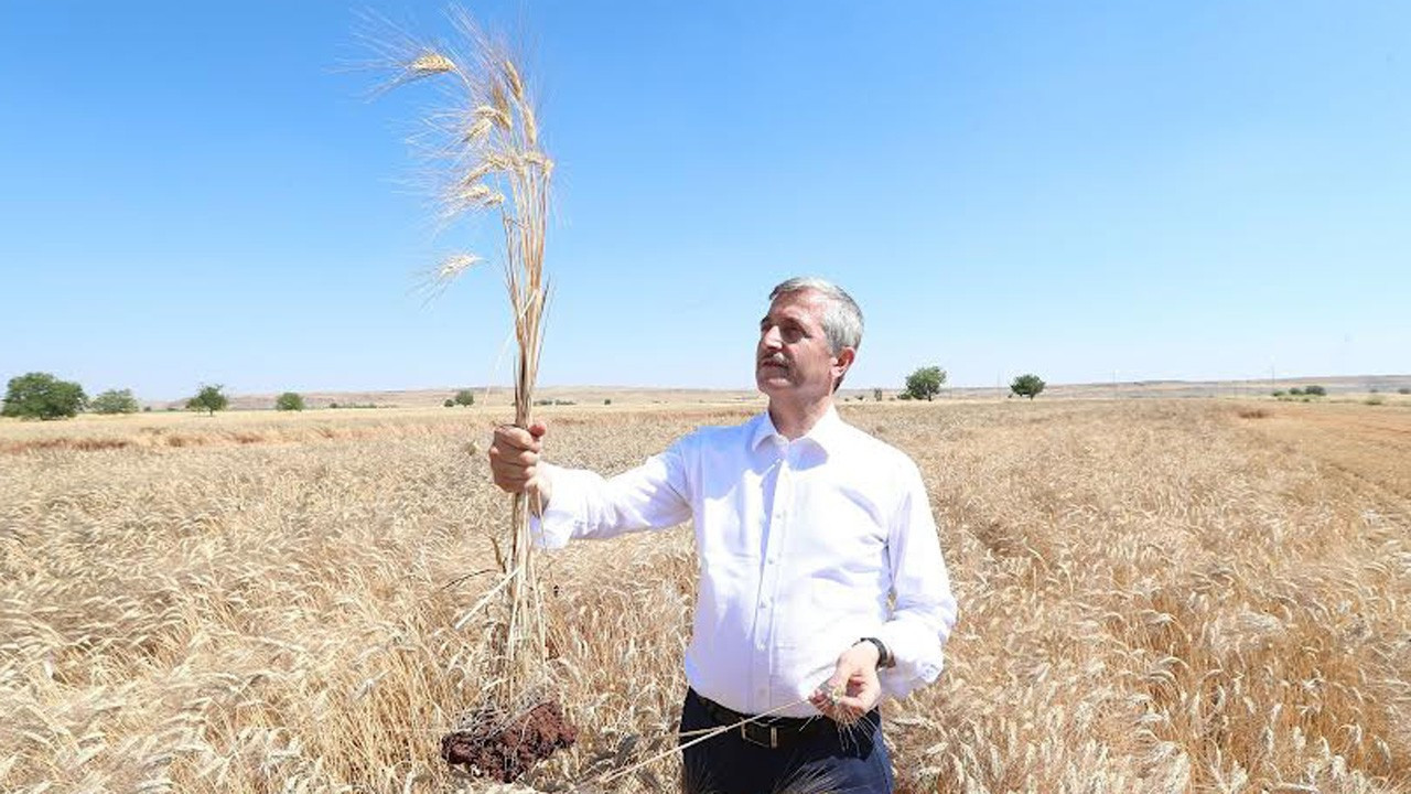 Şahinbey Belediyesi’nden çiftçilere 1 milyar TL’lik destek