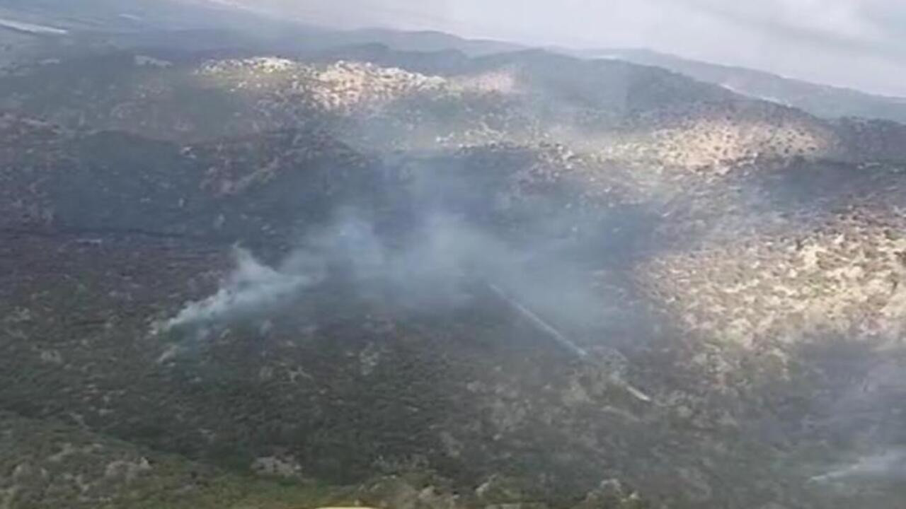 Manisa'da orman yangını! Ekipler müdahale ediyor