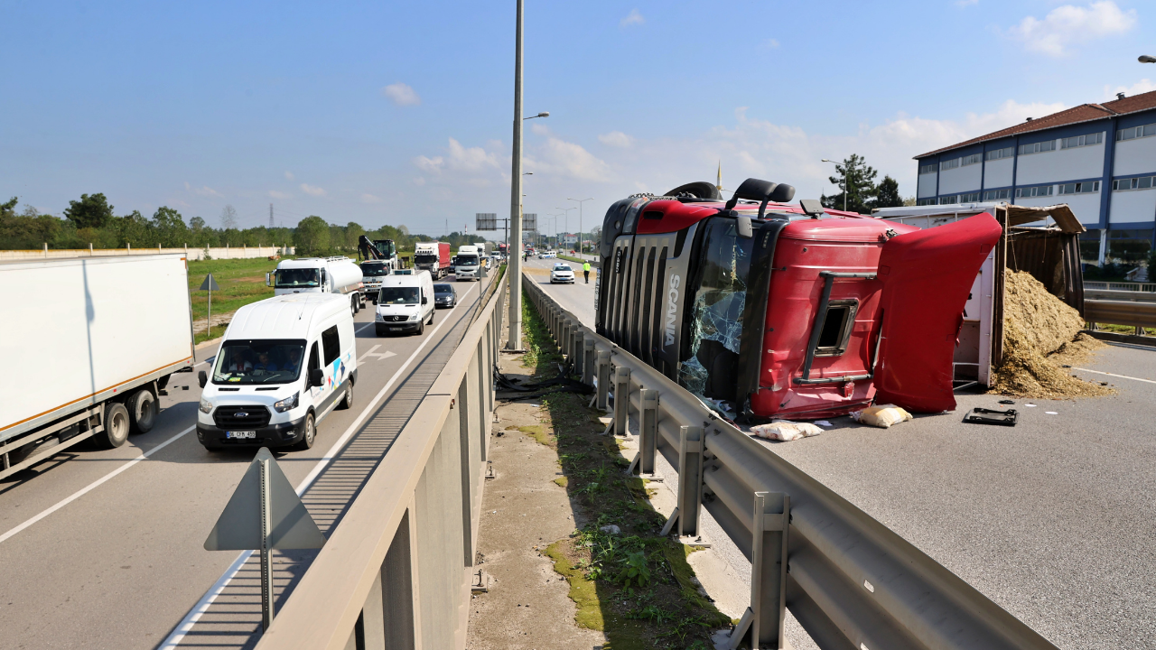 Samsun'da sıradışı kaza: Şoforü arı soktu, TIR'ı devirdi