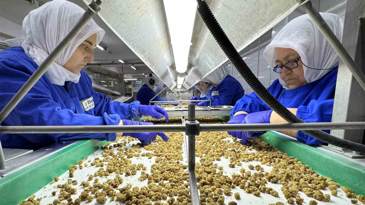 Kuru meyve ihracatçıları Hindistan'ı radarına aldı