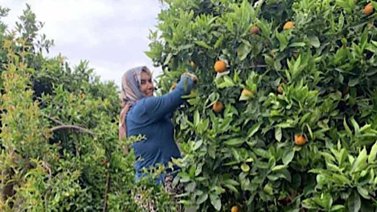 Hatay’ın hâlâ bize çok ihtiyacı var!