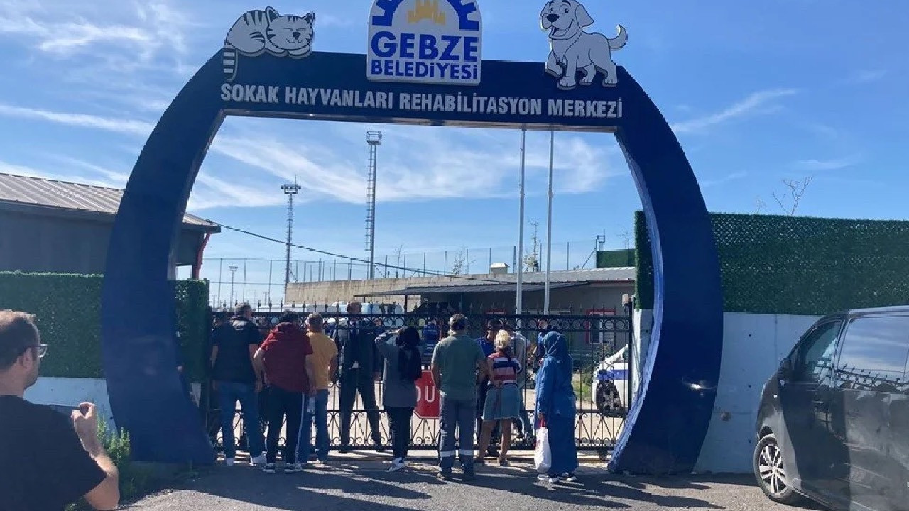 Gebze Belediyesi'nden katliamla ilgili açıklama: "Kabul edilemez"