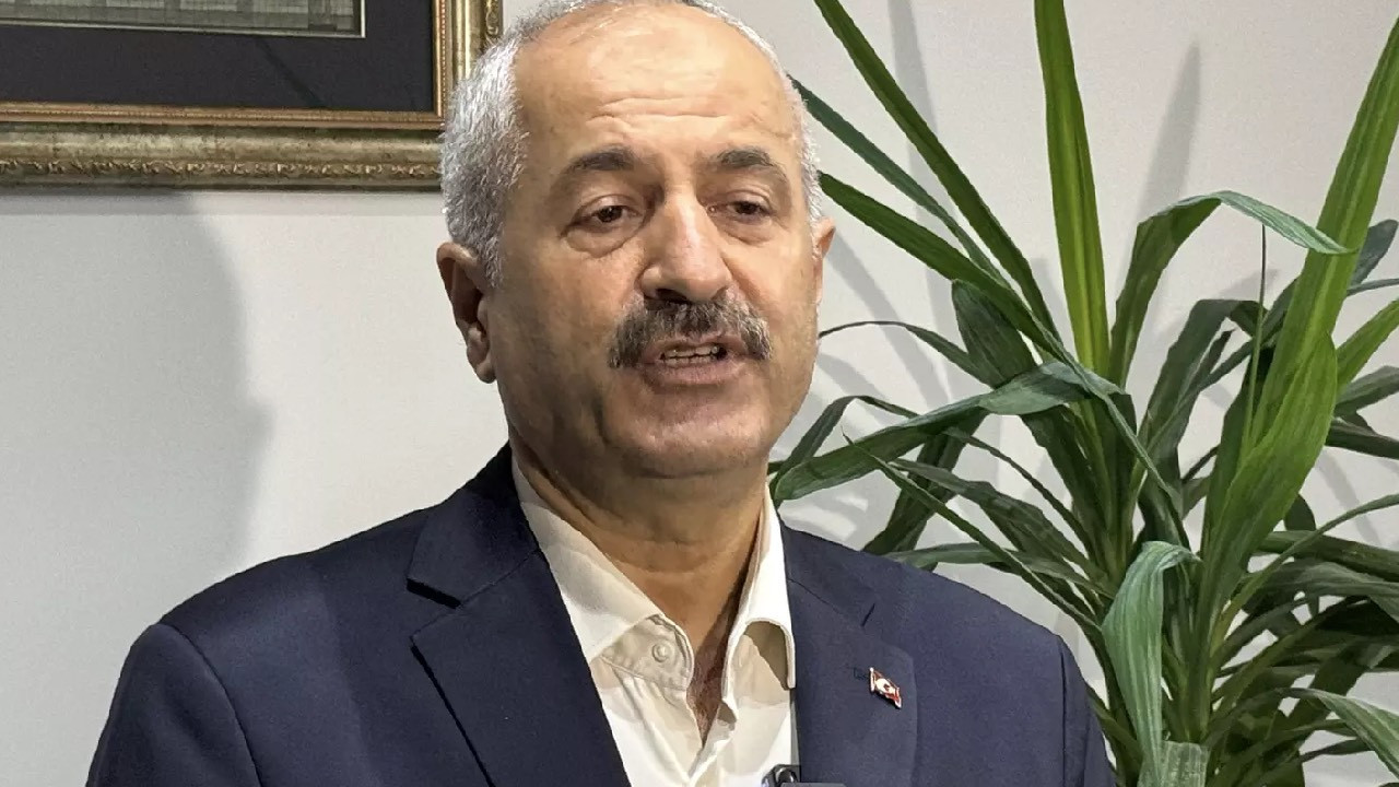 Gebze Belediye Başkanı'ndan hayvan katliamına ilişkin açıklama: Hesabını soracağız