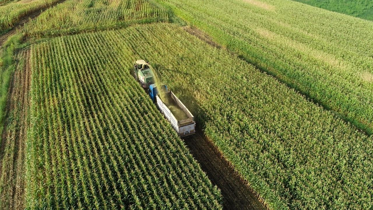 OECD, tarım sektörünün karşılaştığı zorluklara dikkat çekti