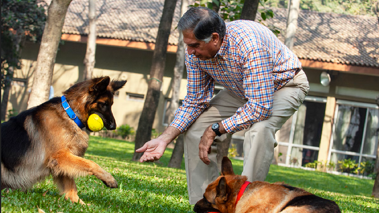 Milyon dolarlık mirası köpeğine bıraktı