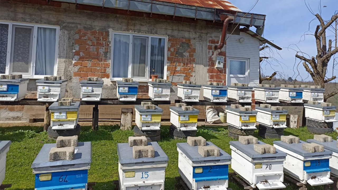 Orman köylüsüne 7 milyon 205 bin TL kredi desteği sağlandı