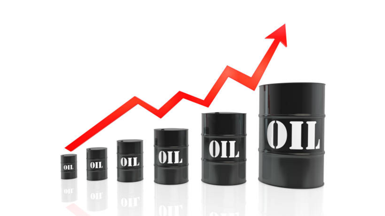 Türkiye'nin petrol ithalatı yüzde 1,85 arttı