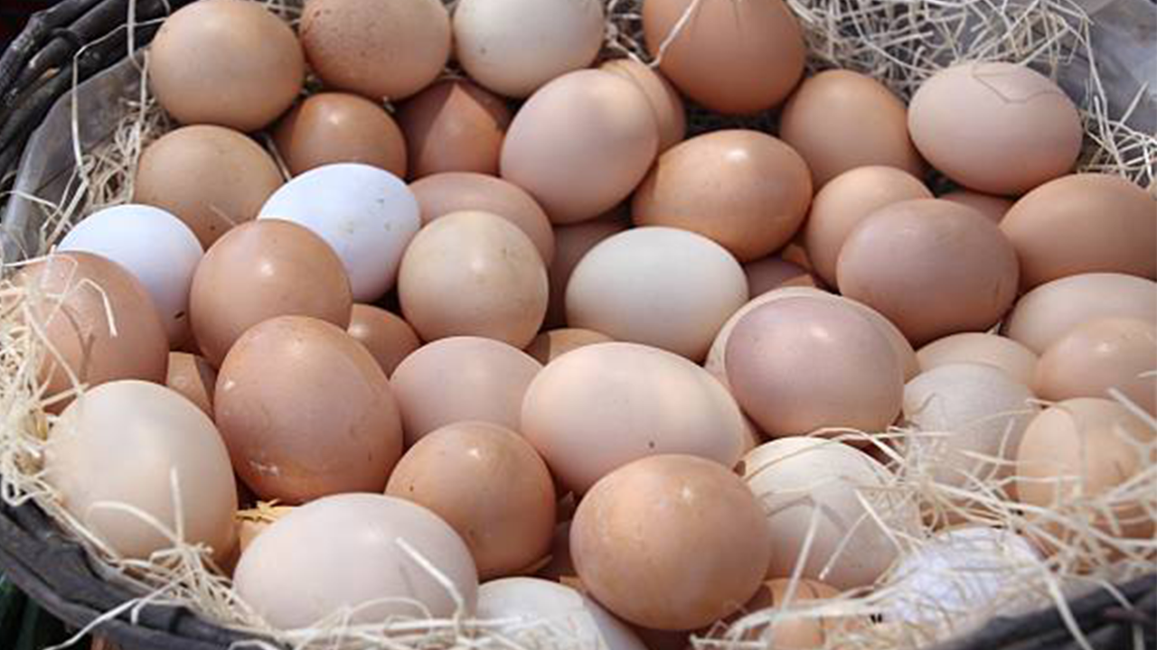 Yumurta fiyatlarına zam!