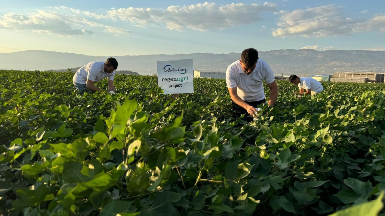 GAP Bölgesi rejeneratif ve organik pamuk üretim merkezi oluyor