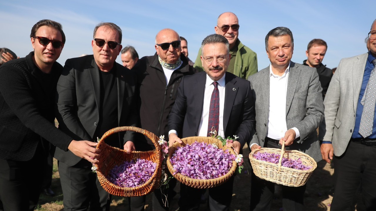 Eskişehir’de Türkiye’nin en büyük safran üretim merkezi kuruldu