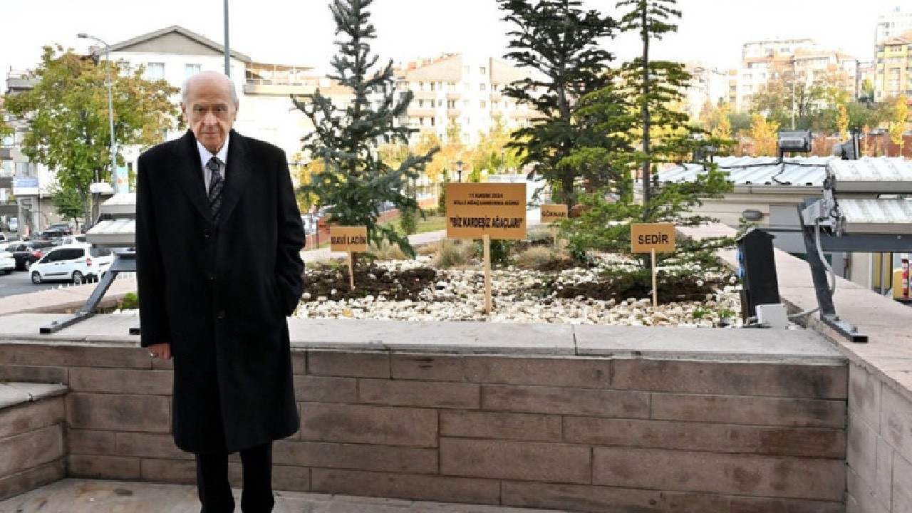 MHP'den dikkat çeken paylaşım: Bahçeli, genel merkez önüne ‘Biz Kardeşiz Ağaçları’ dikti