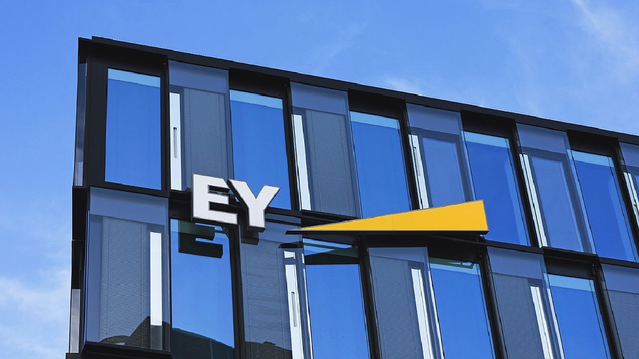 EY, 2024 yılında 51,2 milyar dolar gelir elde etti