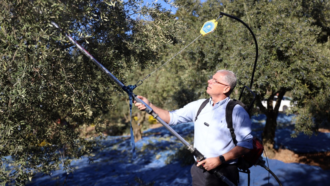 “Gerekirse belediye olarak alım yapar, zeytini tarlada bırakmayız”