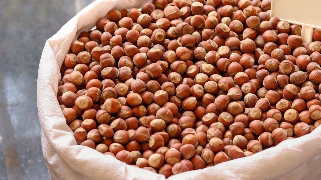 123 ülkeye 2,64 milyar dolarlık fındık ihraç edildi