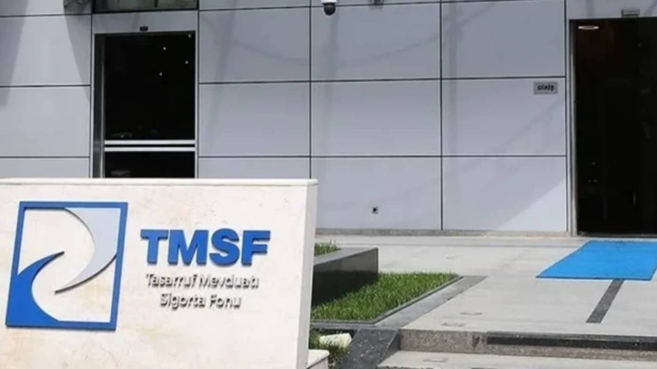 TMSF, iki şirketin ihalesini erteledi