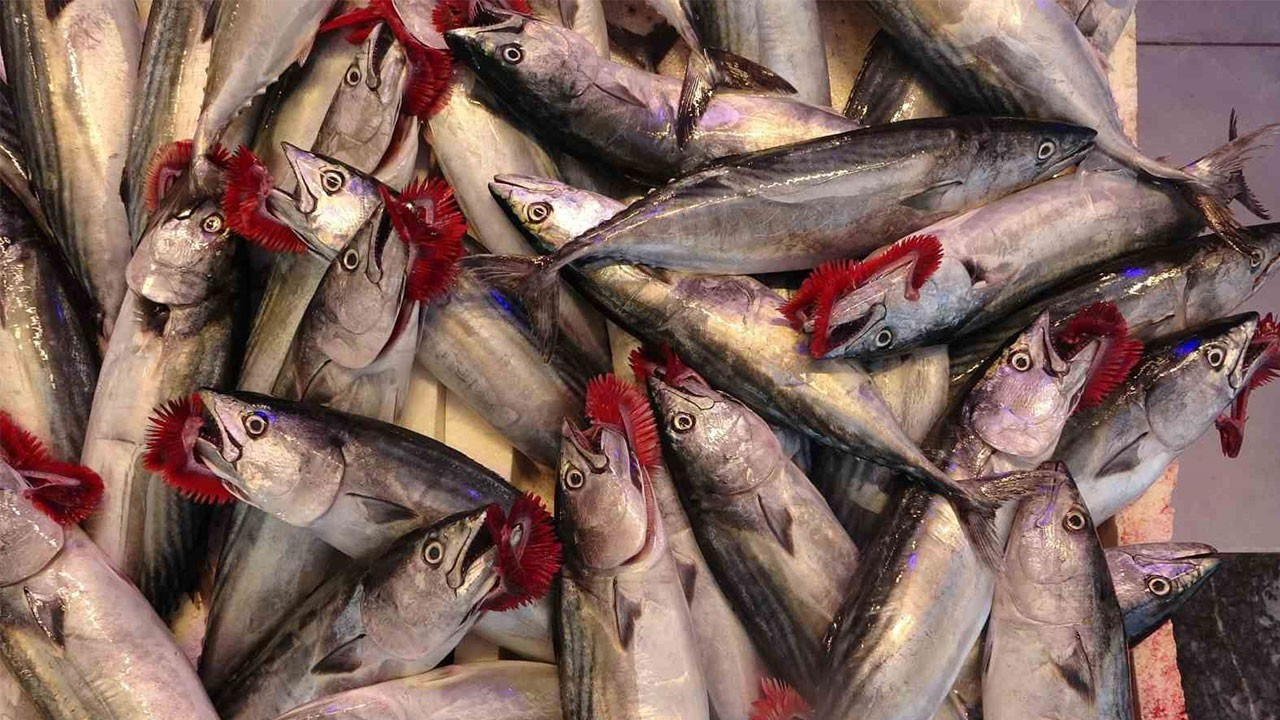 Çinekop, ihracatta hayal kırıklığına uğrattı