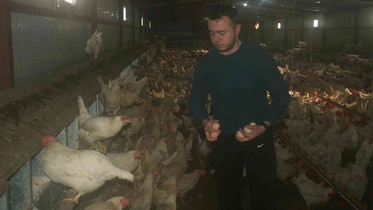 24 yaşındaki genç girişimci, bahçesinde hobi olarak başladı: Şimdi 3 bin adet tavuğu var