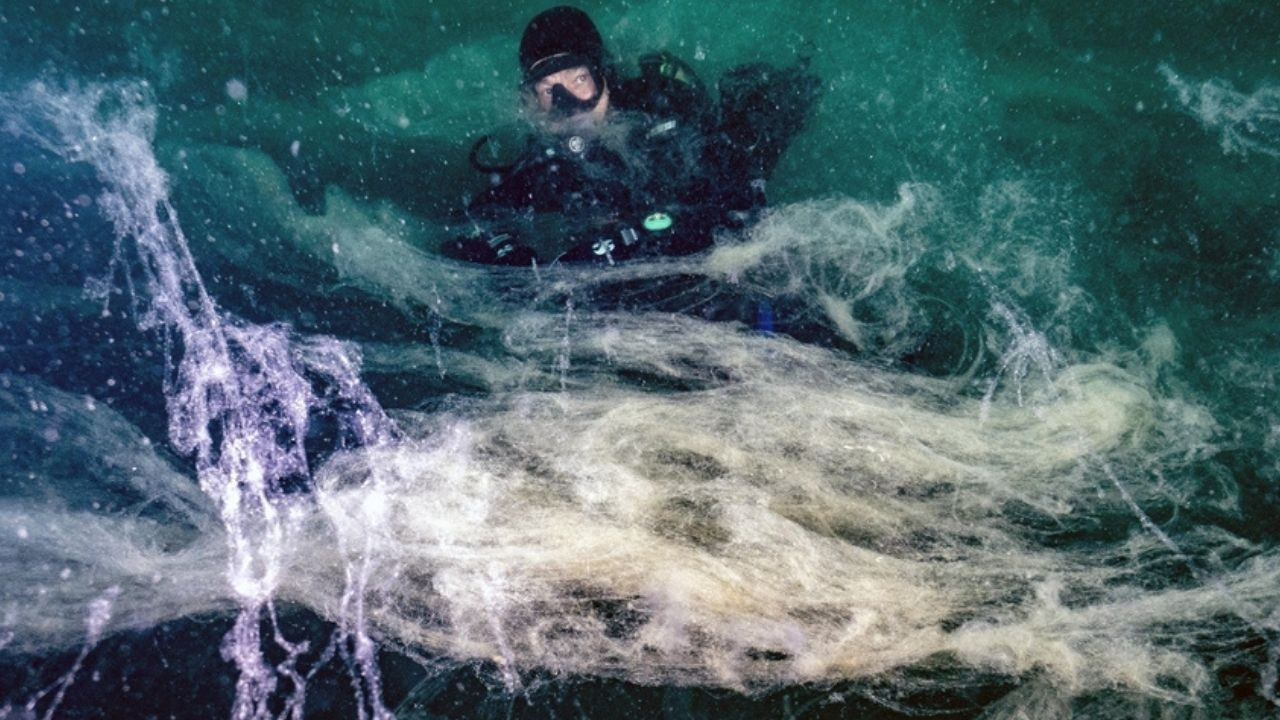 Marmara Denizi’ni kurtarma planı! İleri biyolojik arıtma tesisi yapılması önerisi geldi