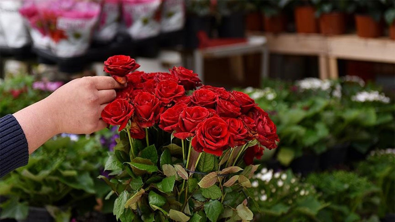 Çiftçilere "14 Şubat'ta kapora dolandırıcılığına dikkat edin" uyarısı!