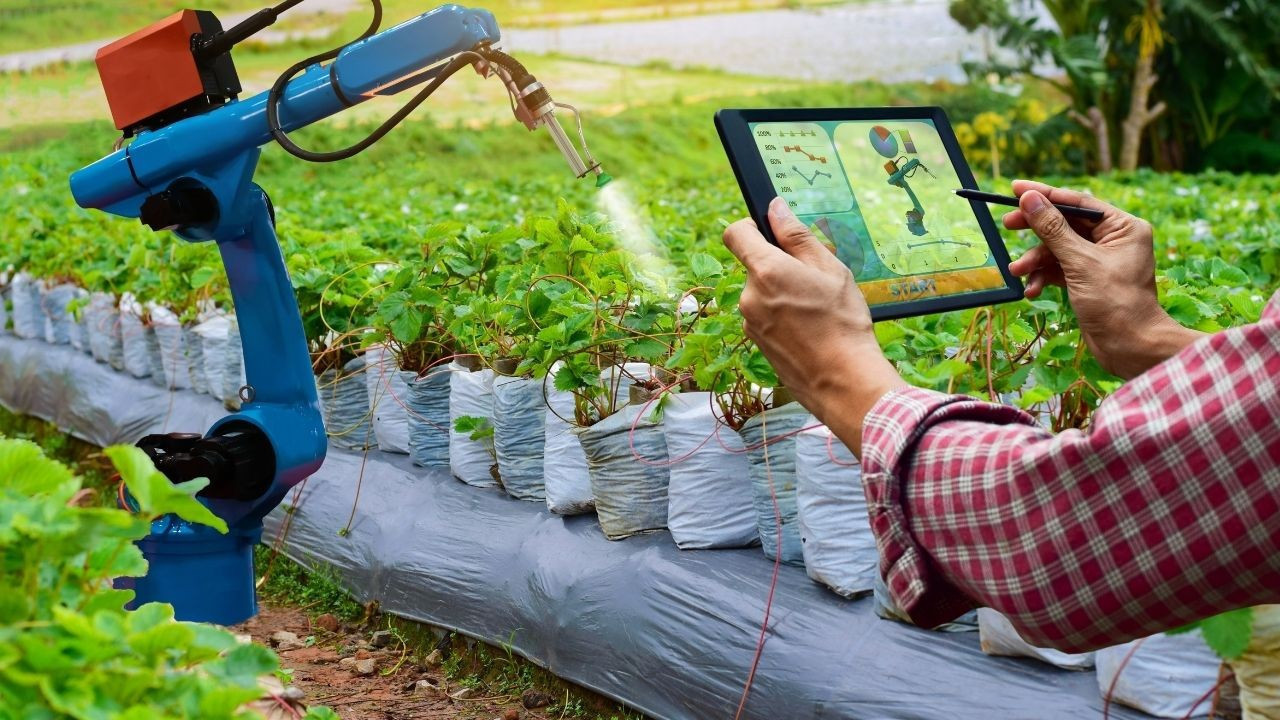 Nitelikli iş gücü için düğmeye basıldı! Akıllı tarımda yeni meslekler geliyor
