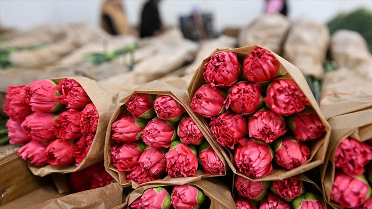 Türkiye, Sevgililer Günü için 75 milyon dal çiçek ihraç etti