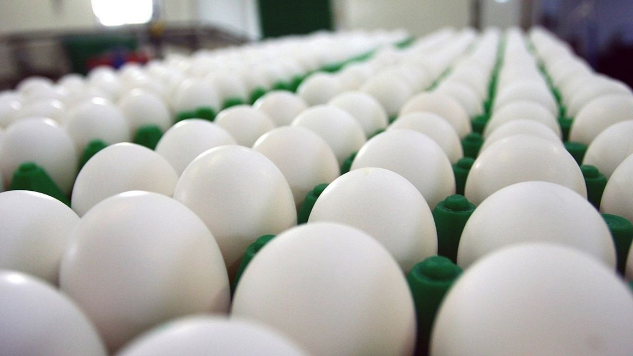 ABD'de yumurta kısıtlaması fiyatları artırdı