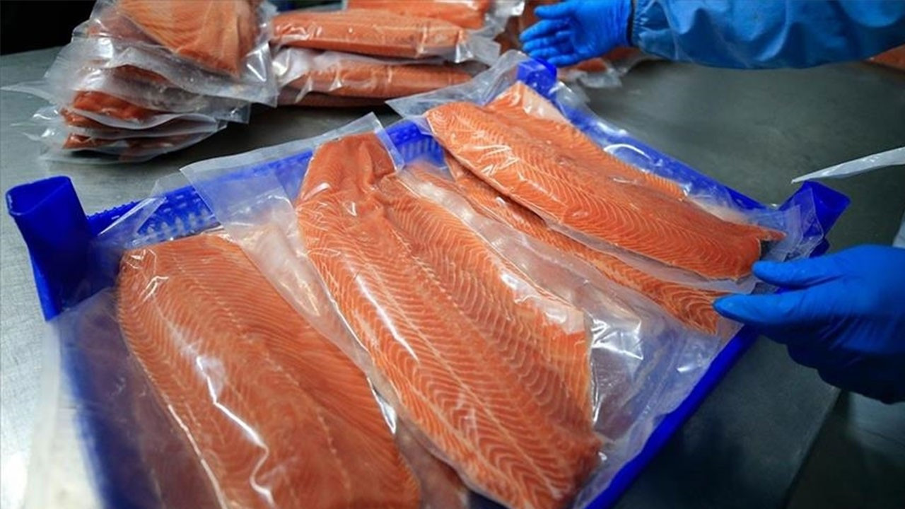 Doğu Karadeniz'in Türk somonu ihracatı 3,9 milyon doları aştı